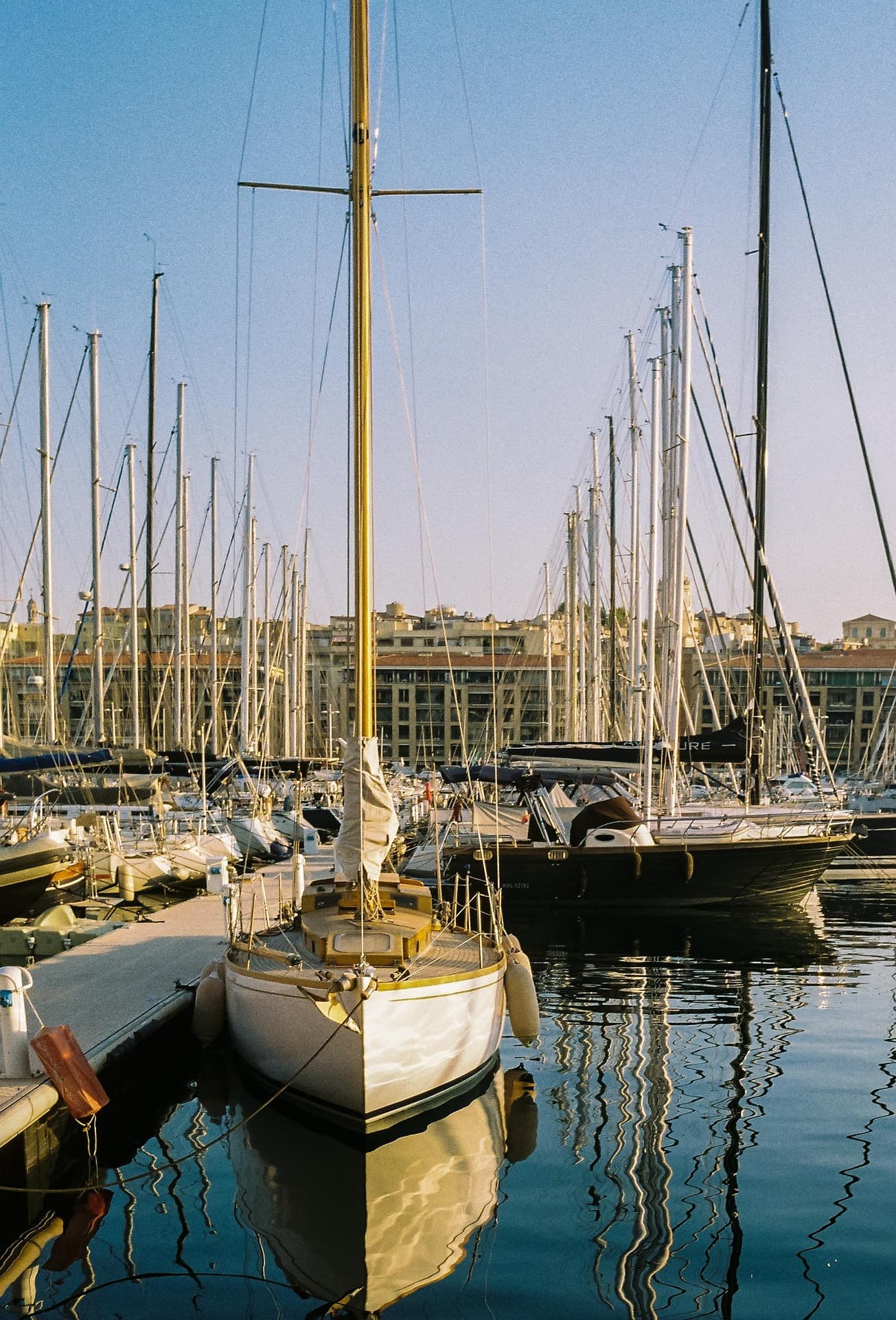 Histoire Fanion Canon 1